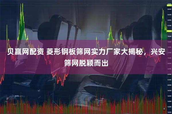 贝赢网配资 菱形钢板筛网实力厂家大揭秘，兴安筛网脱颖而出