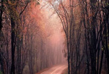 股民配资炒股:看股票哪个软件比较好-中泰证券：继续看好银行股稳健性和持续性